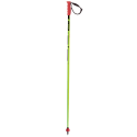 BASTONES SKI POLES ELAN RACE SLX