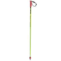 BASTONES SKI POLES ELAN RACE SLX CD180418