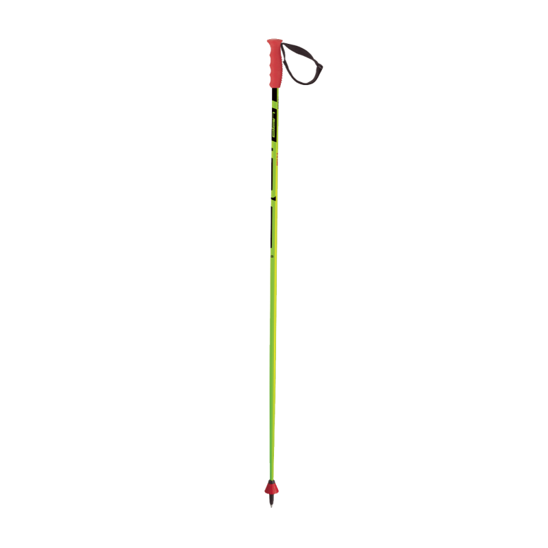BASTONES SKI POLES ELAN RACE SLX