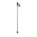 BASTONES SKI POLES ELAN COMPOSITE - VYLEX RENT