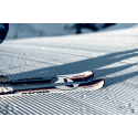 HEAD Porsche 7 Ski Pack + Protector PR 13 GW | Luxury Performance