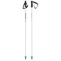BASTONES SKI POLES HEAD WORLDCUP SL 381073