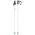 BASTONES SKI POLES HEAD WORLDCUP REBELS CARBON 381203