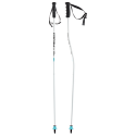 BASTONES SKI POLES HEAD WORLDCUP SG JR 381063