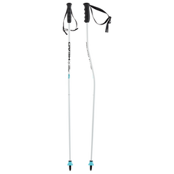 BASTONES SKI POLES HEAD WORLDCUP SG JR 381063