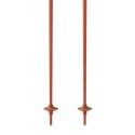 Fischer GT 16 Flame Aluminum Ski Poles (OZ31521) | esqui-outlet.com