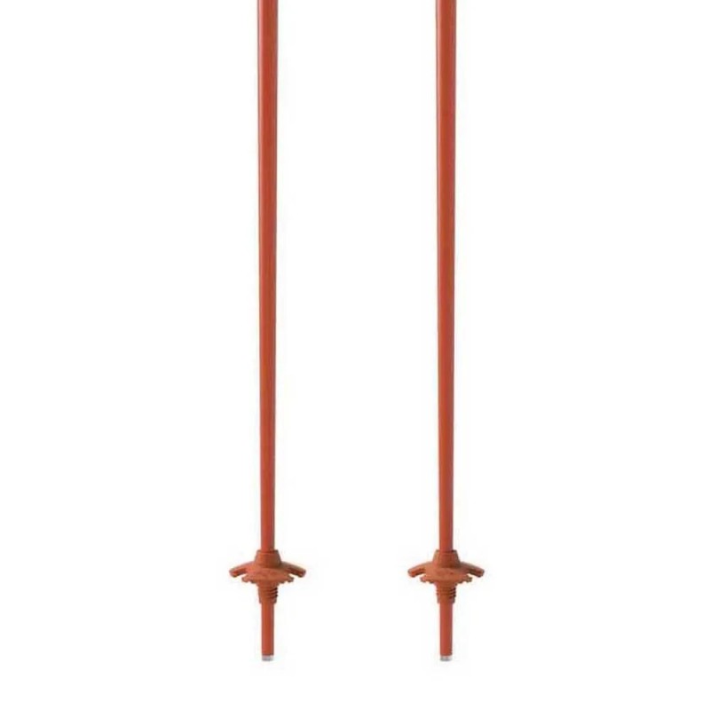 Bastoncini Sci Fischer GT 16 Flame Alluminio (OZ31521) | esqui-outlet.com