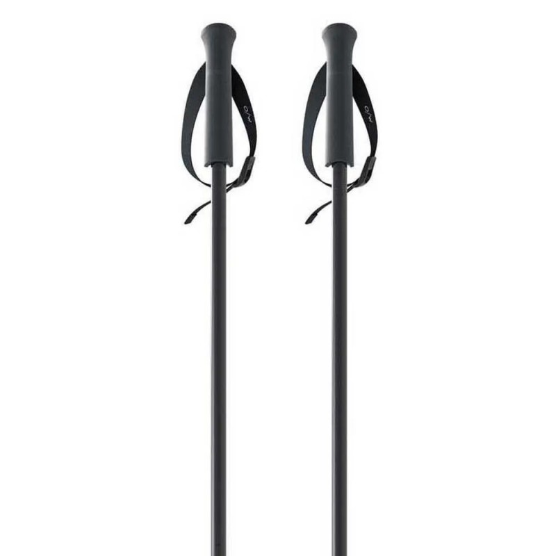 Bâtons Ski Fischer GT 16 Flame Aluminium (OZ31521) | esqui-outlet.com