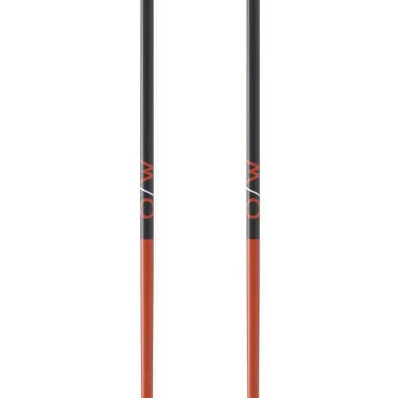 Bâtons Ski Fischer GT 16 Flame Aluminium (OZ31521) | esqui-outlet.com