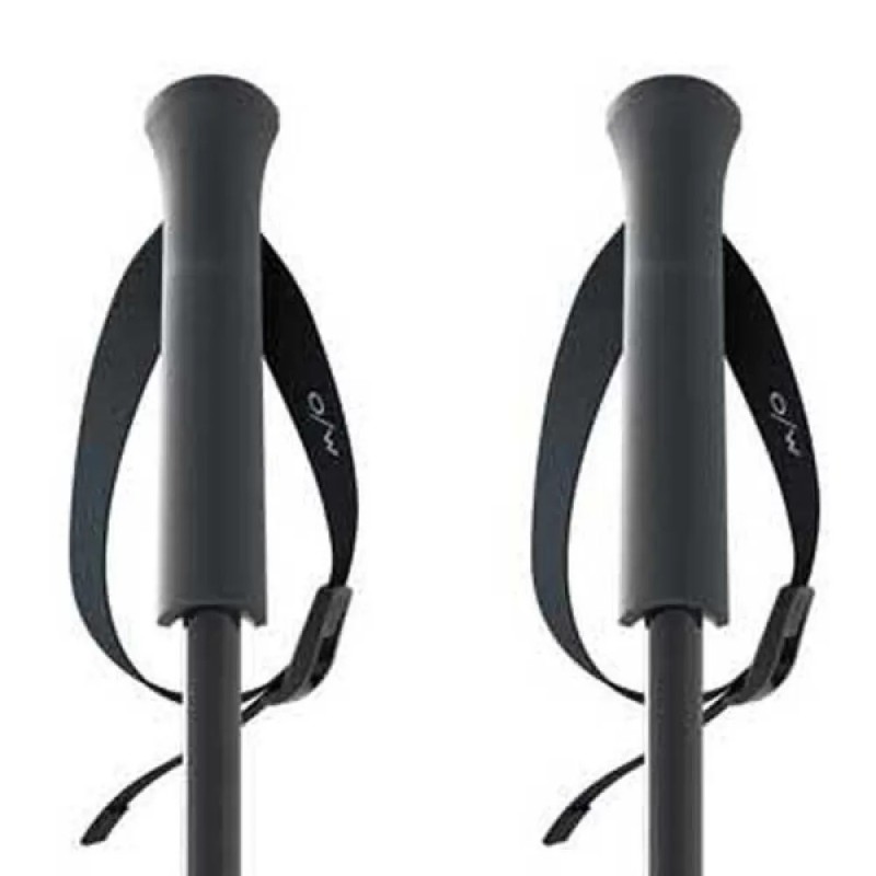 Bastoncini Sci Fischer GT 16 Flame Alluminio (OZ31521) | esqui-outlet.com