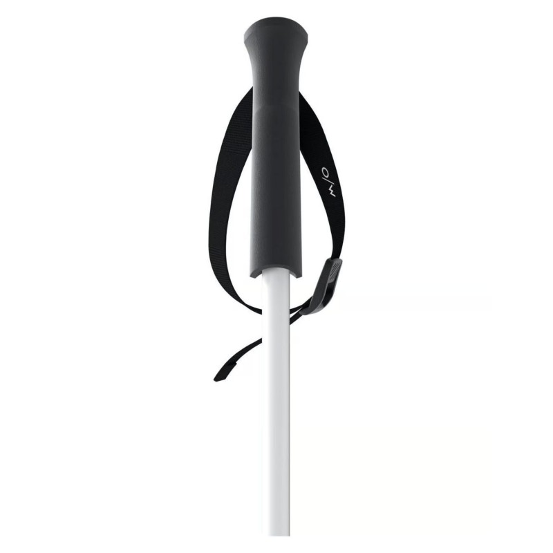 Skistöcke Fischer GT 16 Ghost Aluminium (FOZ31621) | esqui-outlet.com