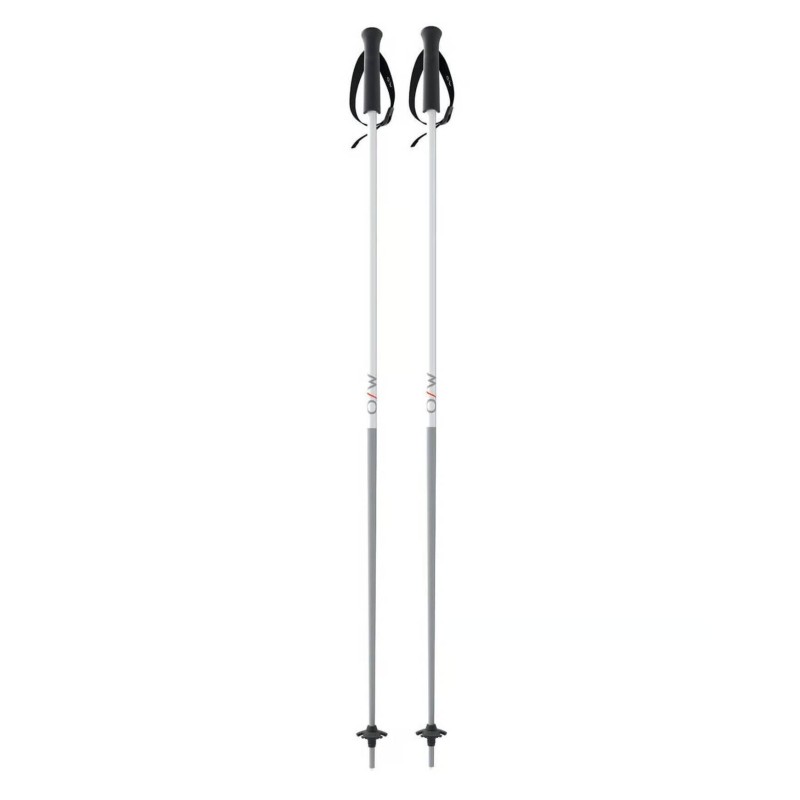 Skistöcke Fischer GT 16 Ghost Aluminium (FOZ31621) | esqui-outlet.com