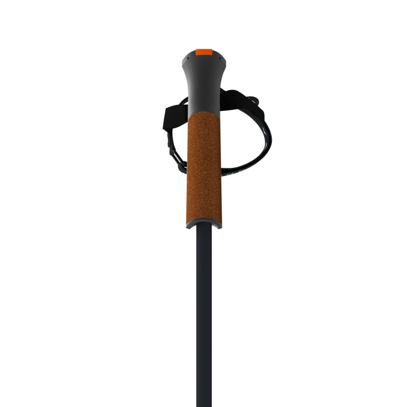 Bastones Esquí Fischer GT 13 Carbon Mag (OZ31121) | esqui-outlet.com