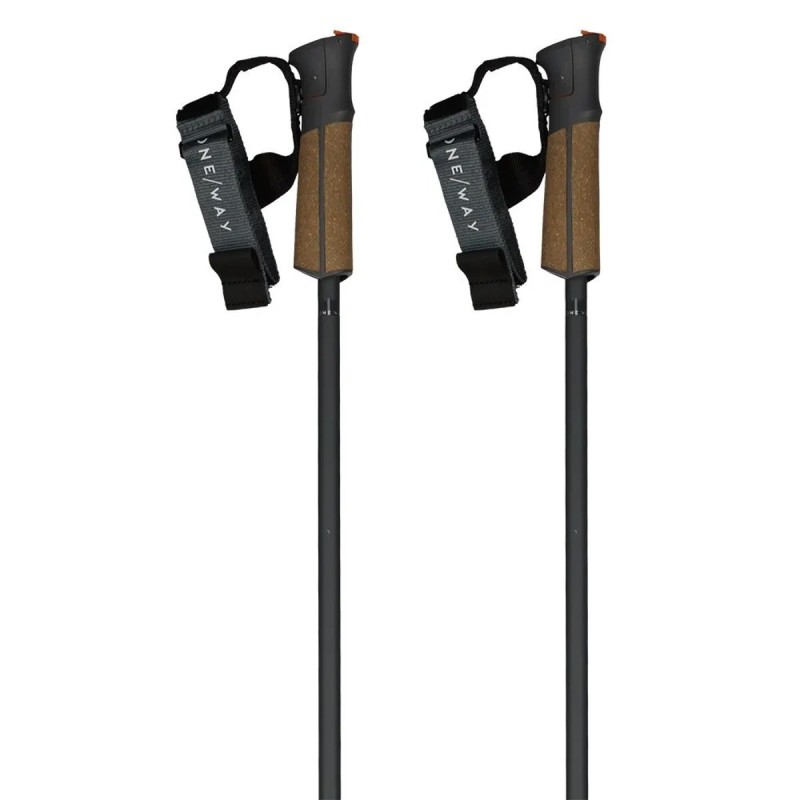Skistöcke Fischer GT 13 Comp Mag 105 cm (OZ31321) | esqui-outlet.com