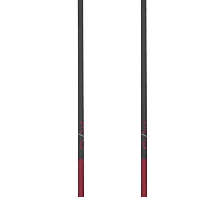 Bastones Esquí Fischer GT 13 Comp Mag 105 cm (OZ31321) | esqui-outlet.com
