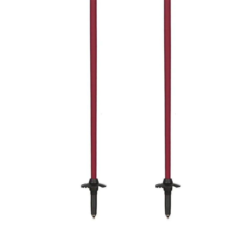 Bastones Esquí Fischer GT 13 Comp Mag 105 cm (OZ31321) | esqui-outlet.com