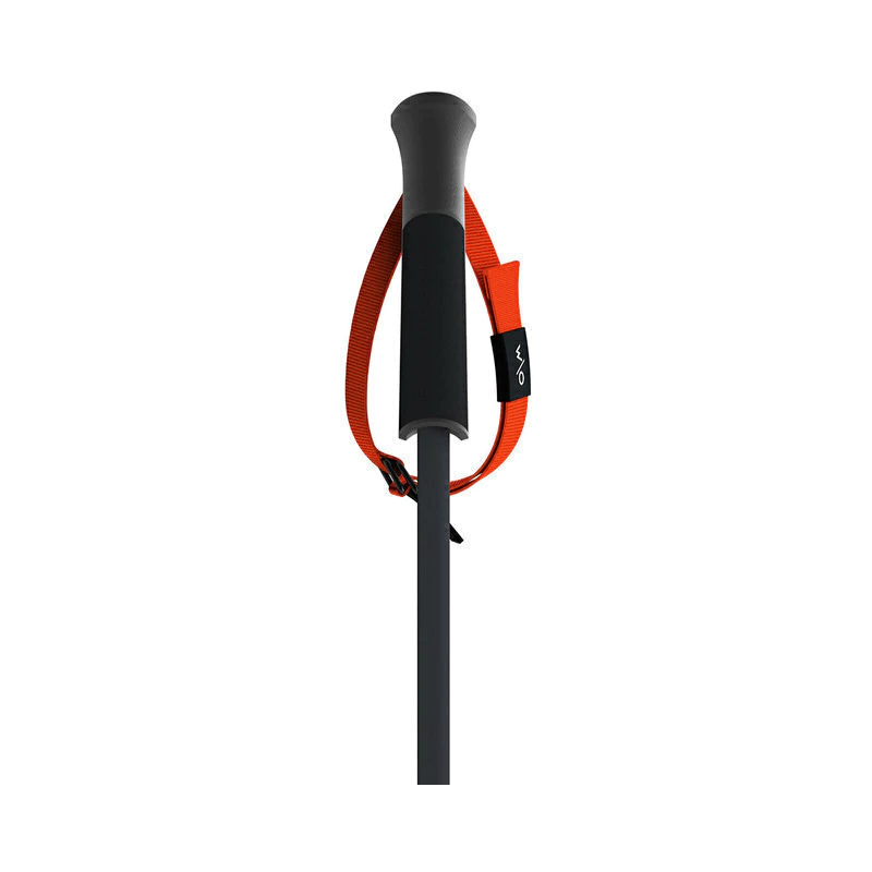 Fischer GT 14 Aluminum Ski Poles (OZ31421) | esqui-outlet.com