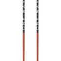 BASTONES SKI POLES FISCHER RD SL JUNIOR ONE WAY FOZ35121