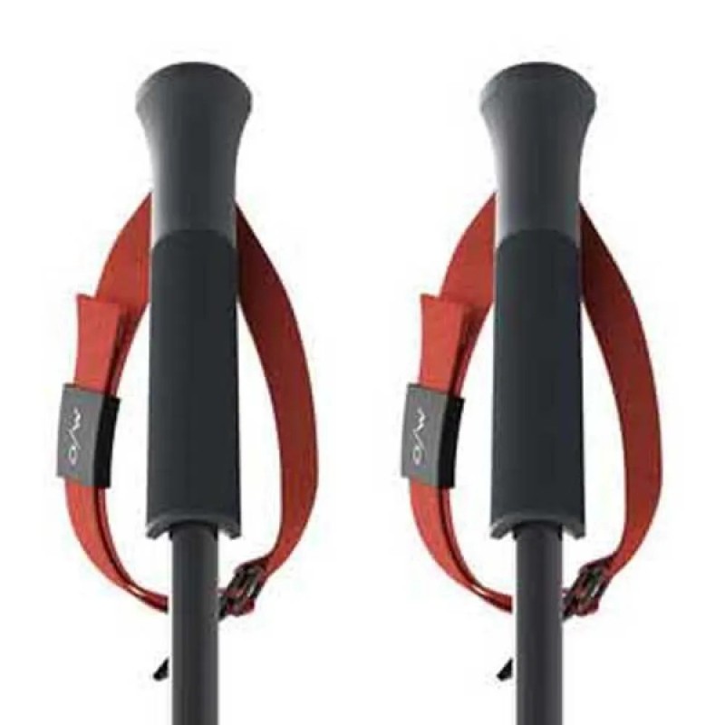 BASTONES SKI POLES FISCHER RD SL JUNIOR ONE WAY FOZ35121