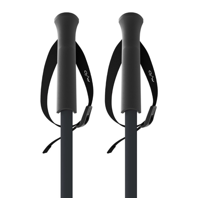 Bastoncini Sci Fischer GT 18 Vapor Alluminio (OZ31821) | esqui-outlet.com