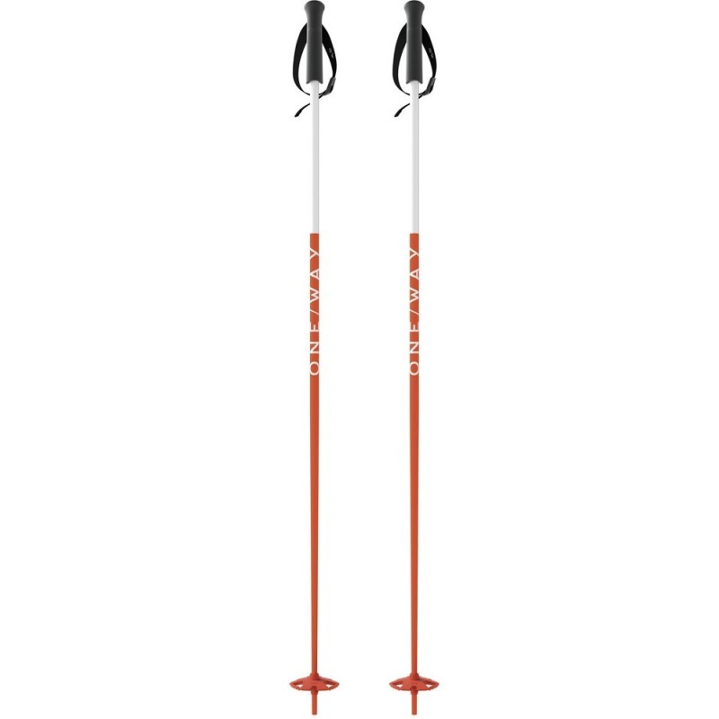 Bastoncini Sci Fischer FR 16 Flame Alluminio (OZ33521) | esqui-outlet.com