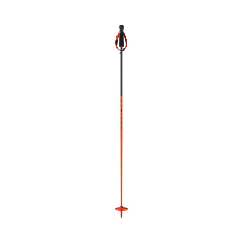 Bastones Esquí Fischer FR 13 Comp Flame (OZ33221) | esqui-outlet.com